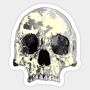 Skull (plain) Sticker